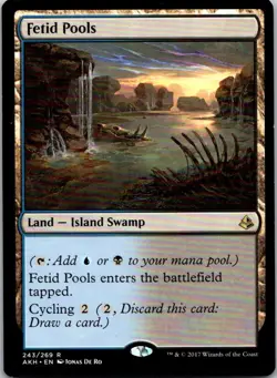 Magic the Gathering Fetid Pools Amonkhet MTG Free Shipping! - Image 1
