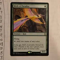 Birds of Paradise Guild Kits Regular Green Rare Creature Wizards English - Image 1