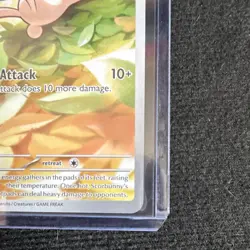 Pokemon Scorbunny ASC 225/217 Rare Full Art Holo Basic Fire HP 70 2026 EN - Image 5