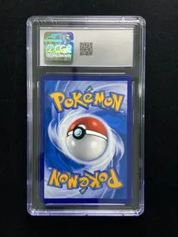 2023 Pokemon TCG S-Chinese 1st PROMO C #081/S-P Friends in Alola CGC 8 kun -IT62 - Image 2