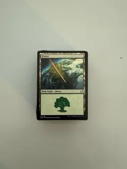 100 Magic the Gathering Basic Land Cards Lot - 20 of each type - Image 2