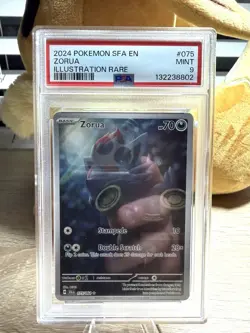 2024 Pokemon Zorua 075/064 SV: Shrouded Fable Holo Pokemon PSA 9 Mint - Image 1