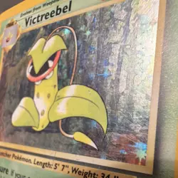 Pokemon Victreebel Jungle 1st Edition Holo Rare 14/64 1999 Wizards 80 HP - Image 5