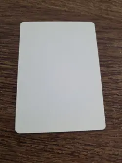 Illicit Auction ARTIST PROOF Signed By Scott Kirschner Magic the Gathering - Image 2