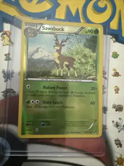Pokemon TCG Sawsbuck Black & White Card 14/114 Reverse Holo - Image 1