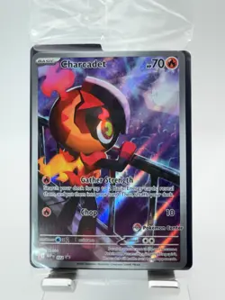Charcadet 022 Sealed Black Star Promo - Pokemon Center Stamp - Phantasmal Flames - Image 3
