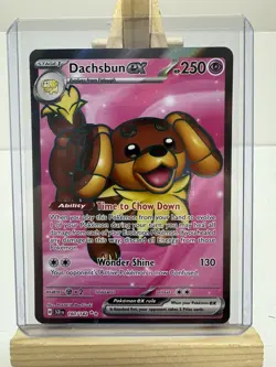 Dachsbun EX #160/142 [Ultra Rare]- Stellar Crown - Pokemon TCG - NM - Image 1
