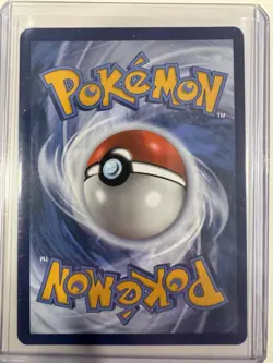 Pokemon TCG - S&V - Black Star Promo - Cynthia's Garchomp EX #204 - NM - Image 2