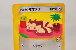 Pokemon card Whitney's Furret 018/141 VS Series 1st ED Non Holo 2001 Japanese - Image 2