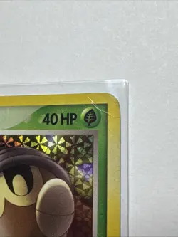 Seedot Reverse Holo EX Deoxys 71/107 Pokemon Card WOTC - Image 5