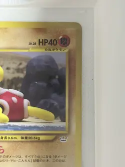 Pokemon Shuckle Basic Japanese No.213 Nintendo 40 HP Yuka Morii Card - Image 4