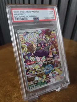 Pokemon Morpeko 206/182 SV04 Paradox Rift Illustration Rare Holo PSA 9 2023 - Image 2