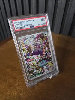 Pokemon Morpeko 206/182 SV04 Paradox Rift Illustration Rare Holo PSA 9 2023 - Image 3