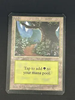 Alpha Forest – Lightly Played LP – 1993 MTG Land – Christopher Rush Art - Image 1