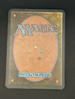 Alpha Forest – Lightly Played LP – 1993 MTG Land – Christopher Rush Art - Image 2