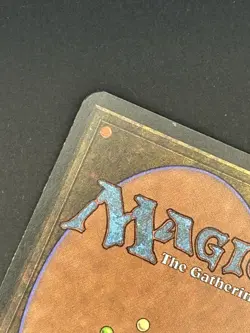 Alpha Forest – Lightly Played LP – 1993 MTG Land – Christopher Rush Art - Image 4