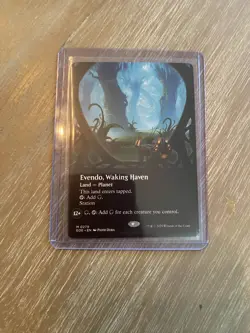 🔮 MTG: Evendo, Waking Haven (Borderless) Edge of Eternities Regular - Image 1