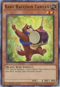 Baby Raccoon Tantan - MP14-EN137 - Common - 1st Edition - Lightly Played - Image 1