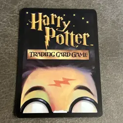 Fat Friar 19/140 NON-Holo RARE Chamber of Secrets Harry Potter Card - Image 4