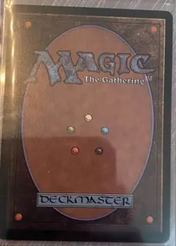 🔮 MTG: Evendo, Waking Haven (Borderless) Edge of Eternities Regular - Image 2