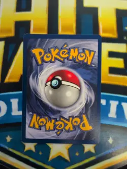 Pokemon Fossil Kabutops 24/62 Rare Regular 1999 WOTC Pokemon TCG LP - Image 2