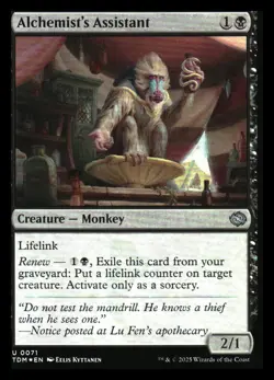 Alchemist's Assistant FOIL Tarkir: Dragonstorm MTG NM - Image 1