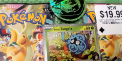 Pokemon Phantasmal Flames Mega Evolution Ascended Heros Blister Sealed Swirl Lot - Image 3
