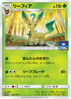 Pokemon Gym Promo - Vol. 10 - Sun And Moon - Sample Pack - Image 4