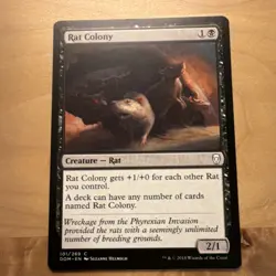 Magic: The Gathering Rat Colony Dominaria 101/269 Black Common Suzanne Helmigh - Image 1