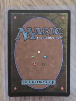 Magic The Gathering Ocelot Pride Store Championship Promo - Image 4