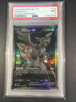 Pokemon TCG Zekrom EX Black Bolt English Card BWR 174/086 PSA9 - Image 1
