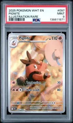 PIGNITE 097/086 Illustration Rare Pokemon White Flare PSA 9 Mint *hl - Image 1