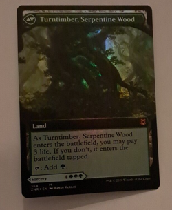 Turntimber Symbiosis Extended FOIL NM/M Zendikar Rising MTG MAGIC THE GATHERING - Image 2