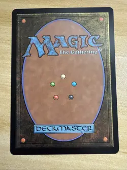 MTG, Fountainport NM 253 Bloomburrow Regular - Image 2