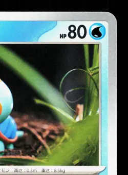 Chewtle 025/102 Stellar Miracle NM Japanese Pokemon Card TCG - Image 3