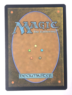 Suki, Courageous Rescuer 37 Avatar the Last Airbender MTG Magic the Gathering NM - Image 2