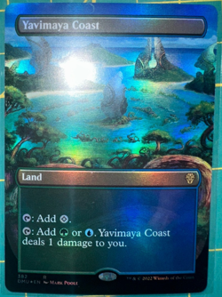 Yavimaya Coast (Borderless) Dominaria United Foil #382 - Image 1