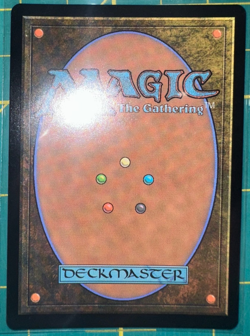 Yavimaya Coast (Borderless) Dominaria United Foil #382 - Image 2