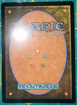 Sundown Pass (Borderless) Innistrad: Crimson Vow Regular 285 - Image 2