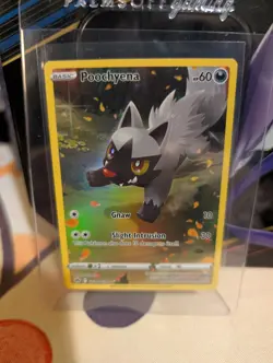 Pokemon TCG Poochyena Crown Zenith: Galarian Gallery Gg33/Gg70 Holo Holo Rare NM - Image 1