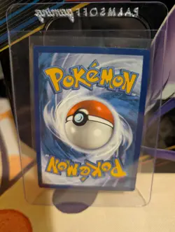 Pokemon TCG Poochyena Crown Zenith: Galarian Gallery Gg33/Gg70 Holo Holo Rare NM - Image 2