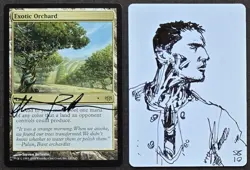 SKETCHED MtG Magic _Steve Belledin _ Conflux Artist Proof _ EXOTIC ORCHARD _1/50 - Image 1