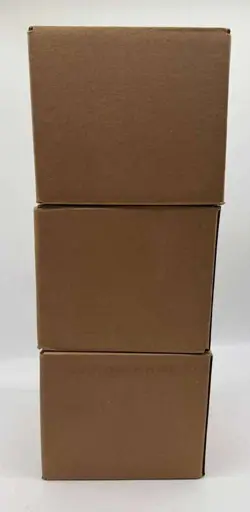 Pokemon TCG 2022 Boltund V Box CASE (6 Boxes) SEALED Lot of (3) - Image 3