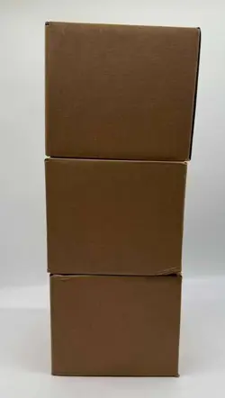 Pokemon TCG 2022 Boltund V Box CASE (6 Boxes) SEALED Lot of (3) - Image 5