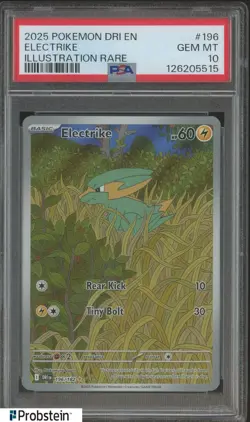 2025 Pokemon DRI EN Illustration Rare #196 Electrike PSA 10 GEM MINT - Image 1
