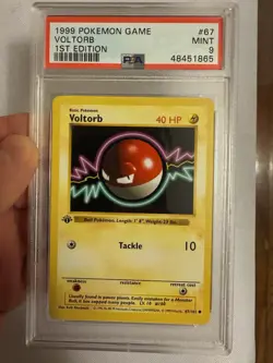 1999 Pokemon - 1st Edition Shadowless Voltorb Base Set 67/102 - PSA 9 Mint! WOTC - Image 1