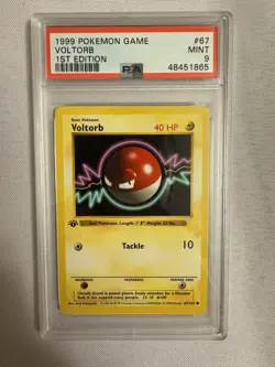 1999 Pokemon - 1st Edition Shadowless Voltorb Base Set 67/102 - PSA 9 Mint! WOTC - Image 2