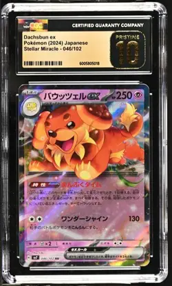 CGC Pristine 10 Dachsbun ex 046/102 Pokemon Japanese Stellar Miracle sv7 - Image 1
