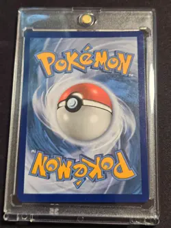 Pikachu SWSH039 SWSH: Sword & Shield Promo Cards Holo NM - Image 2