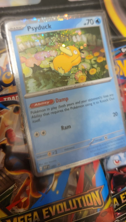4x! Pokemon Phantasmal Flames Mega Evolution JTG 3 Pack Blister Sealed lot TCG - Image 5